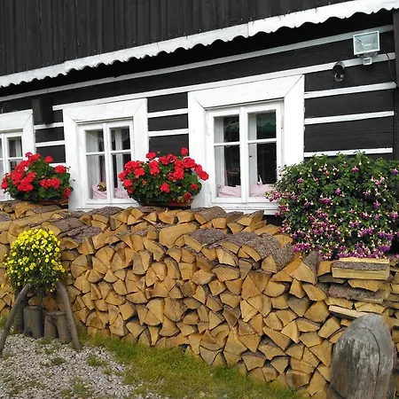 Penzion U Pirata Maison d'hôtes *